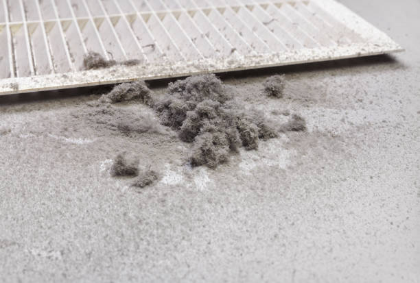 Best Air Duct Sanitizing Services  in Lovejoy, GA
